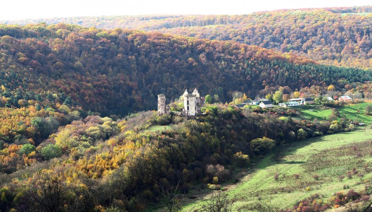 Chervonograd castle