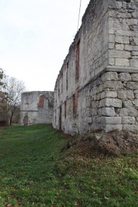 Berezhani castle