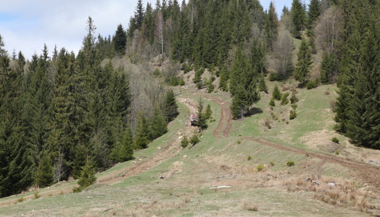 карпатский кордон