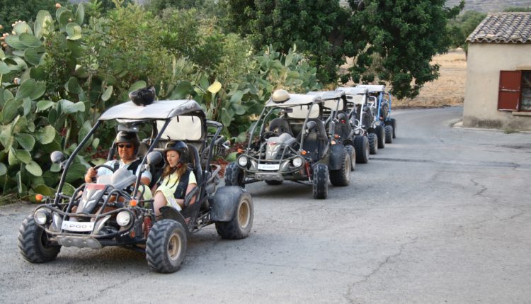 Buggy safari