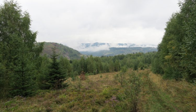 Геокешерский тайник