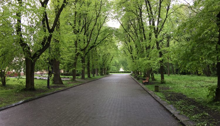 Стрыйский парк
