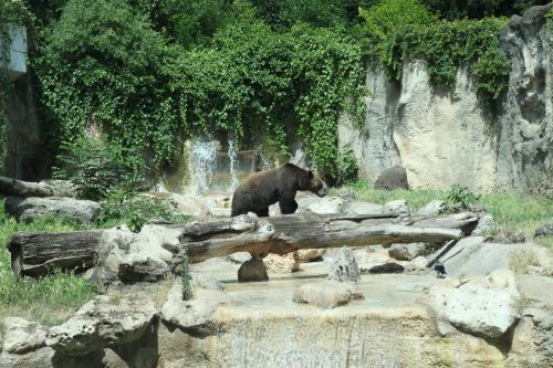Зоопарк в Риме