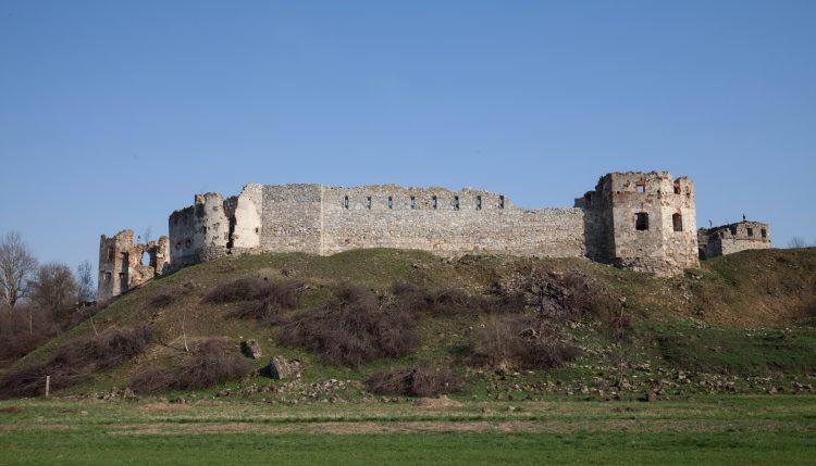 Пневский замок