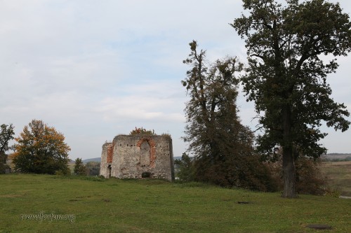 Свіржський замок