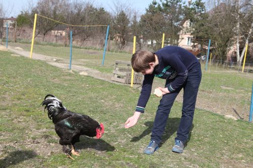 Зоопарк в Польше