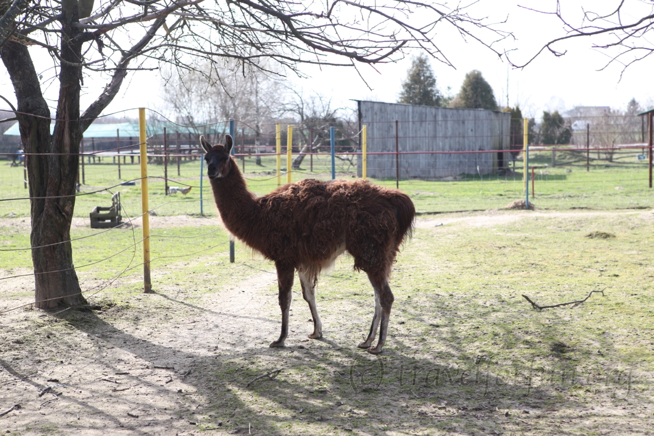 Zoo in Poland