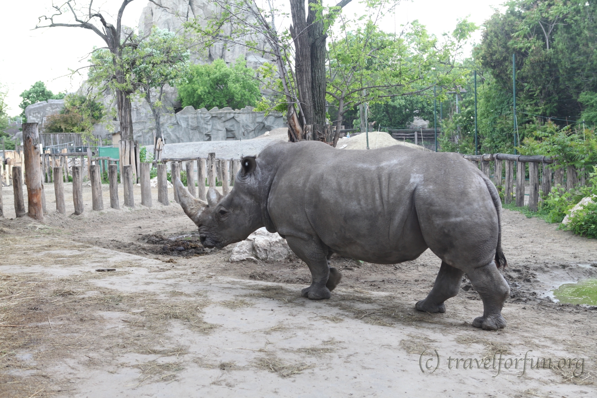 Budapest Zoo