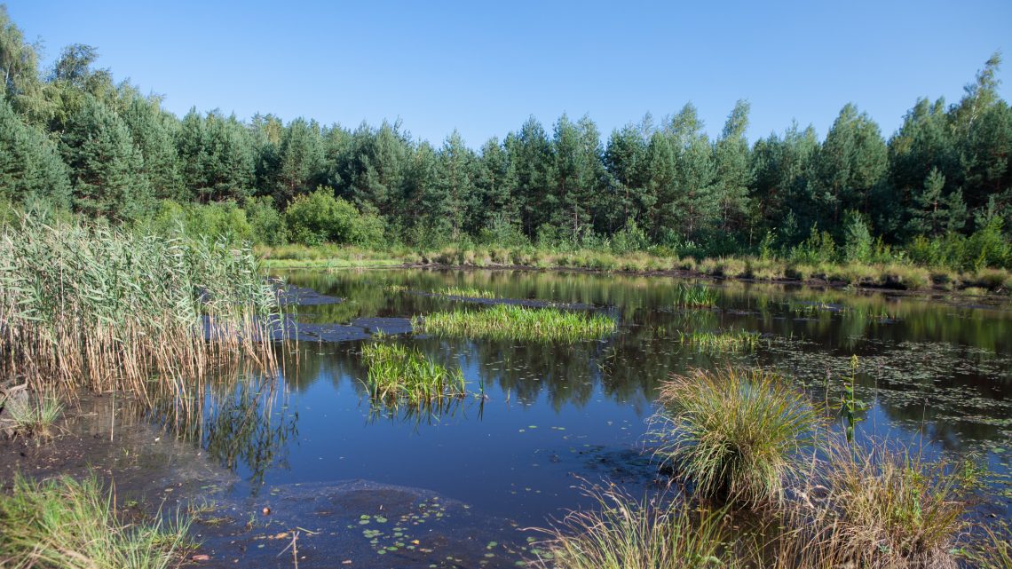 Национальный природный парк «Слобожанский» в Харьковской области