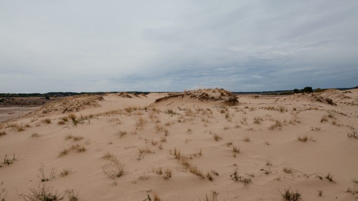 Кицівська пустеля