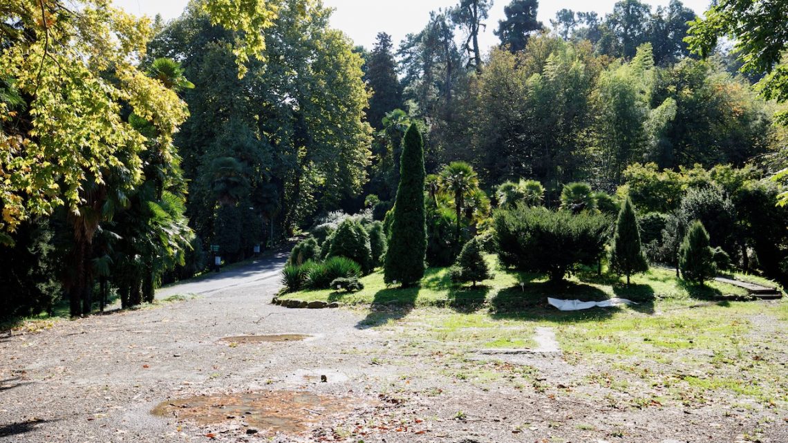 Ботанический сад в Батуми