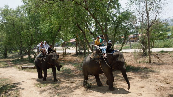 Экскурсия на Квай. День 2. Ферма слонов Maha Wang Chang